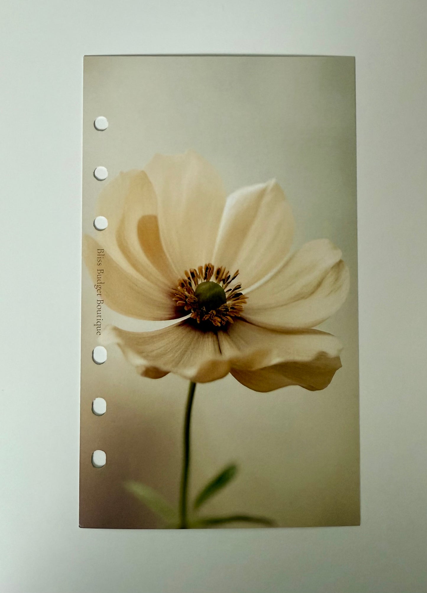 Bloom Serenity Dashboard- Perfectly Imperfect Edition