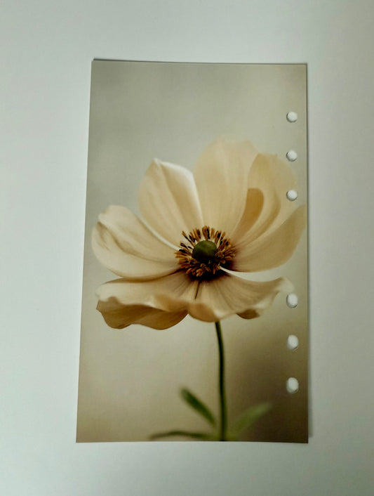 Bloom Serenity Dashboard- Perfectly Imperfect Edition