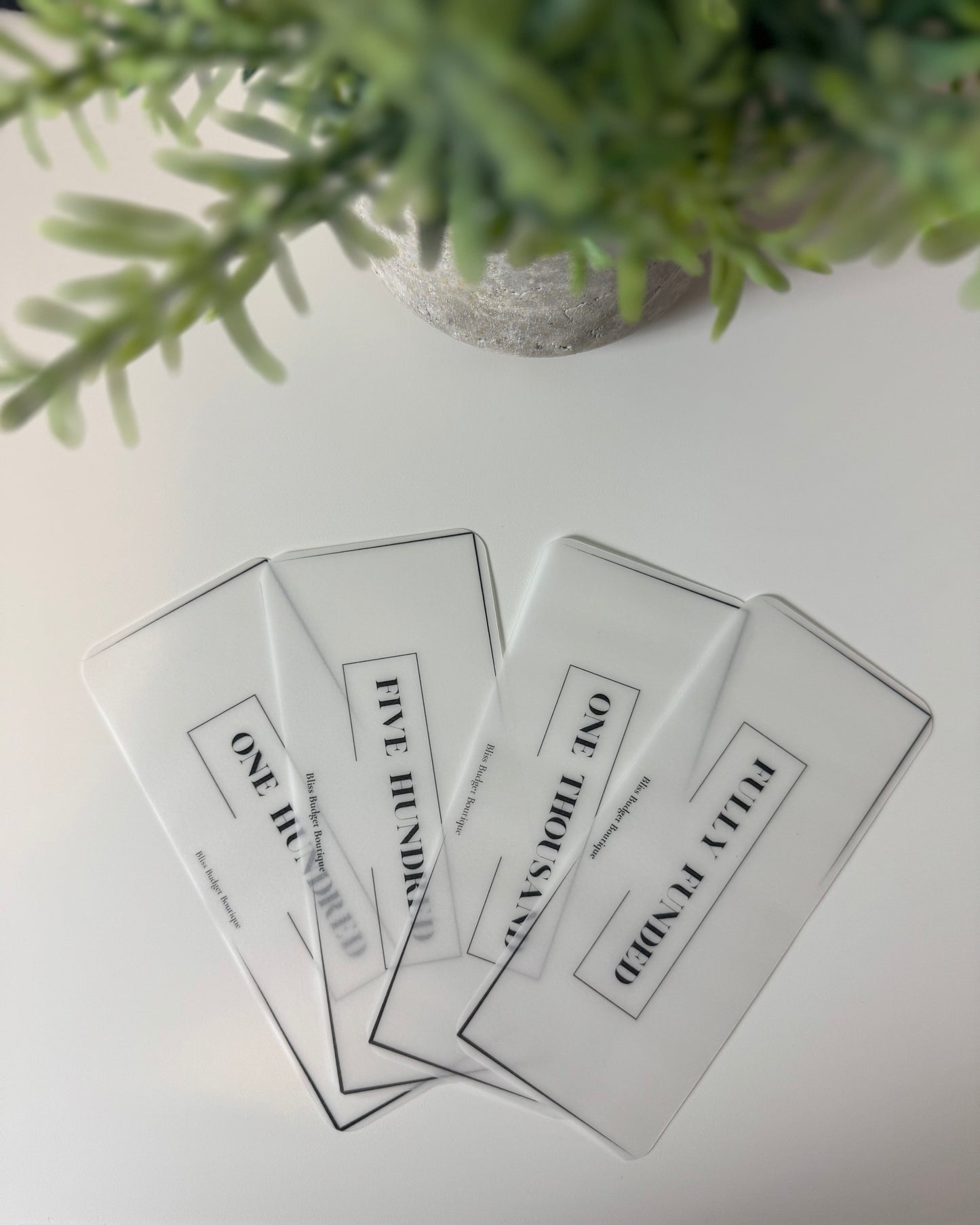 Luxe Cash Envelope Placeholders- Set of 4