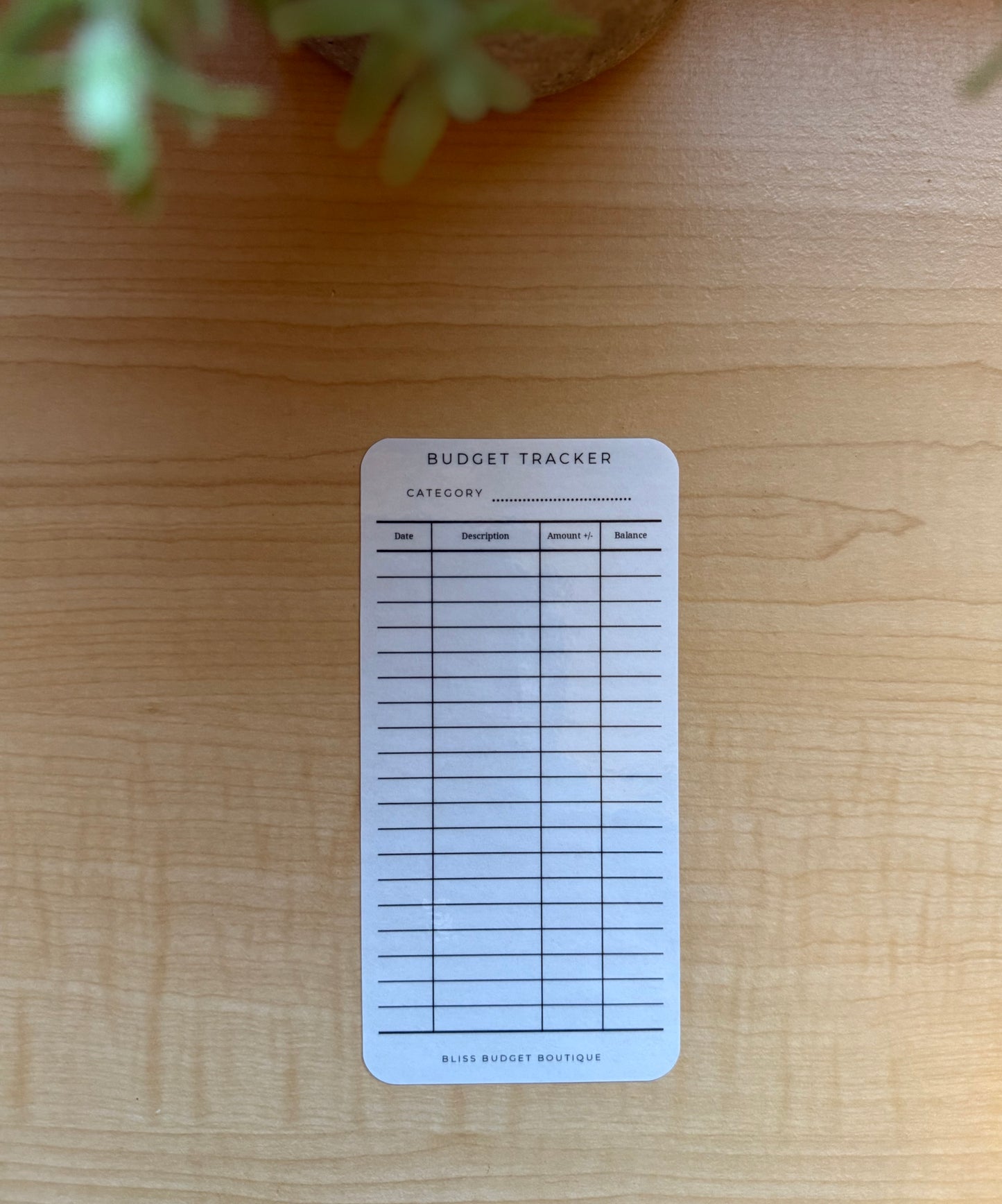 Reusable Budget Tracker Set