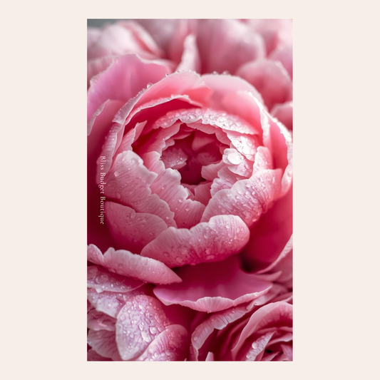 Pink Peony Luxe — A6 Linen Dashboard