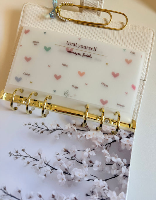 Bliss Cash Envelopes | Sweethearts Custom Vellum Cash Envelope