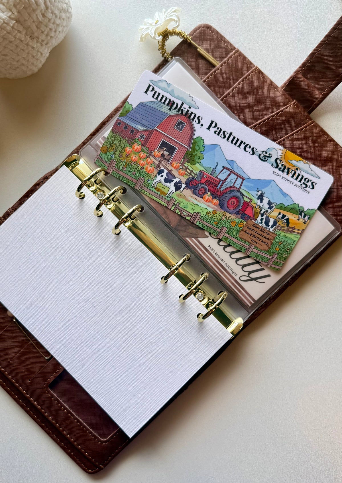 Pumpkins, Pastures & Savings