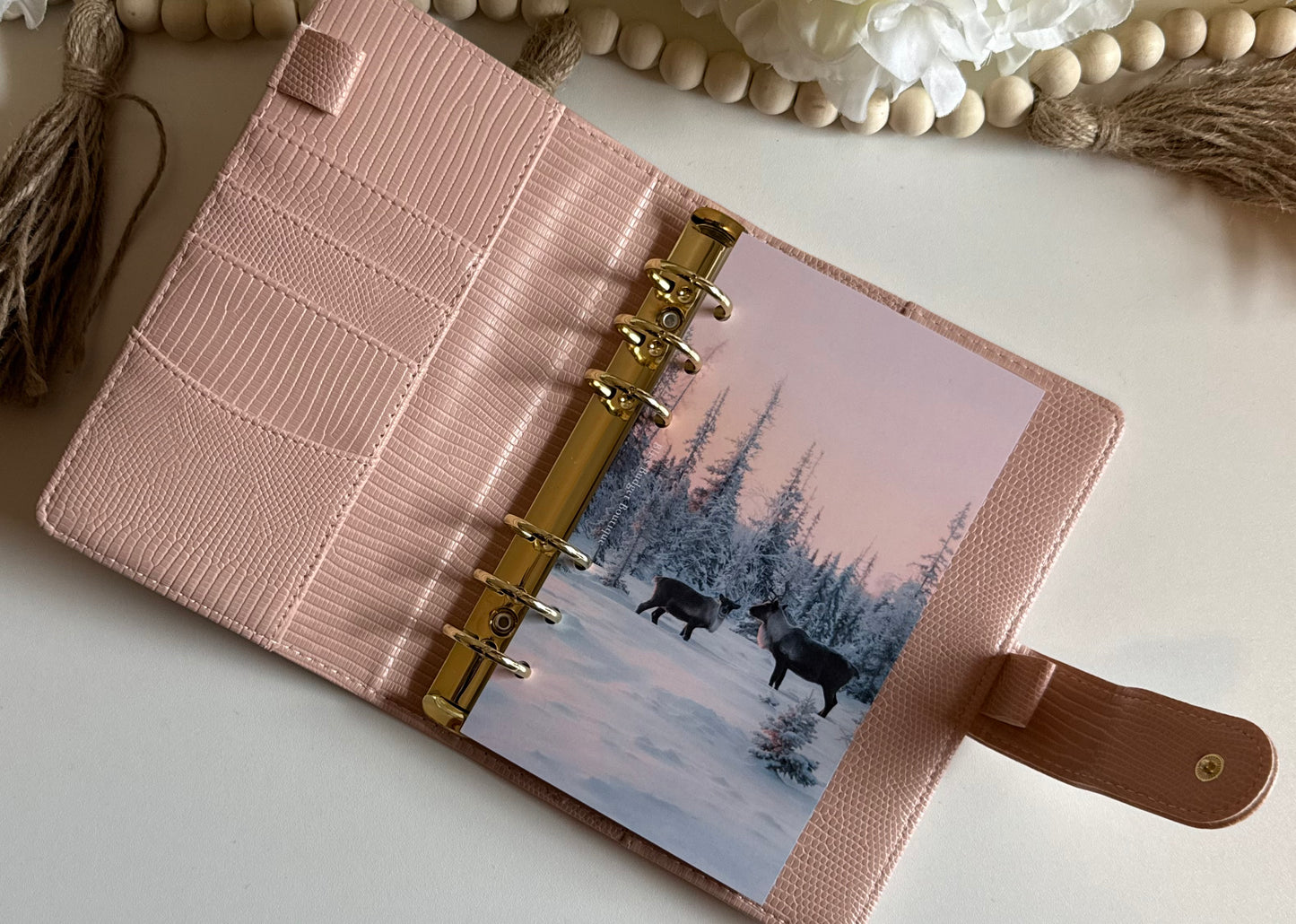 Winter’s Dawn Dashboard